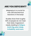 Clarity (Magnesium L-Threonate Gummies)